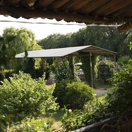 Italian Experience - Nespola Tuoro sul Trasimeno